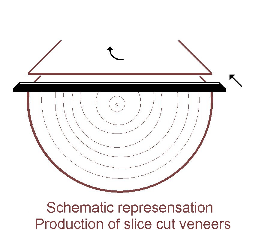 Schematic production of sliced cut veneers