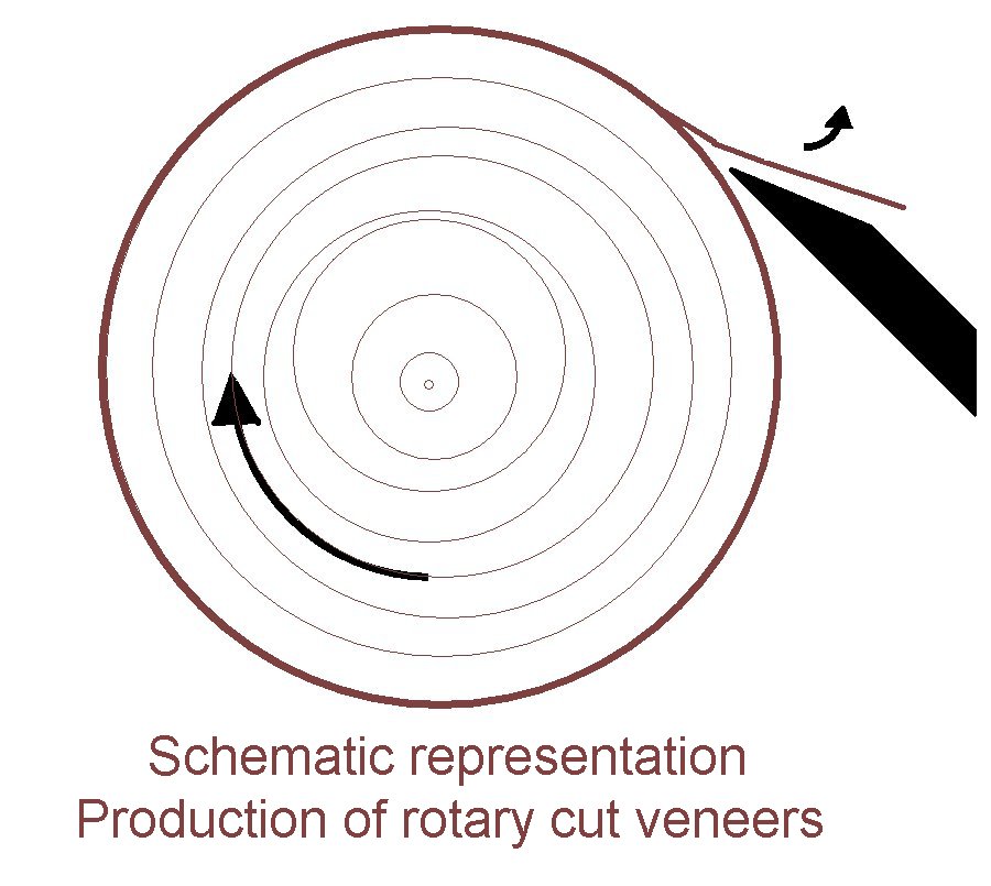 Schematic production of rotary cut veneers
